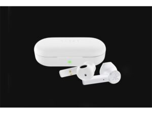 Razer Hammerhead True Wireless wit Kopen? (2022) | IIAV.NL