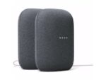 Google Audio 2-pack - Charcoal houtskool