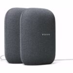 Google Audio 2-pack - Charcoal houtskool Kopen? (2022) | IIAV.NL