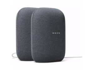 Google Audio 2-pack - Charcoal houtskool Kopen? (2022) | IIAV.NL