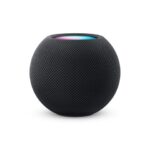 Apple HomePod mini - Space Grey grijs Kopen? (2022) | IIAV.NL