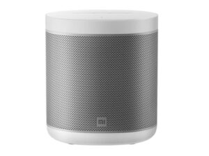 Xiaomi Mi Smart Speaker wit Kopen? (2022) | IIAV.NL