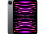 Apple iPad Pro (2022) 11 inch 256GB Wifi Space Gray