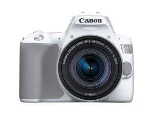 Canon EOS 250D + EF-S 18-55mm f/4-5.6 IS STM wit Kopen (2022) | IIAV.NL