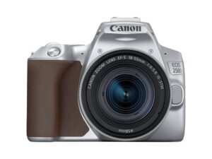 Canon EOS 250D + EF-S 18-55mm f/4-5.6 IS STM zilver Kopen (2022) | IIAV.NL