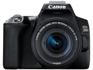 Canon EOS 250D + EF-S 18-55mm IS STM + Cameratas + 16GB Geheugenkaart + Lensdoek - Zwart Kopen (2022) | IIAV.NL