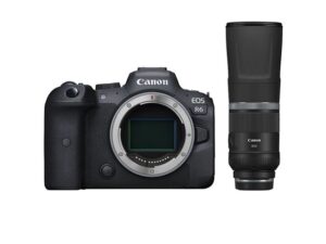 Canon EOS R6 + RF 800MM F/11.0 IS STM Kopen (2022) | IIAV.NL