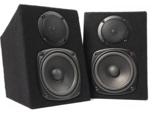 Fenton DJ Monitor boekenplankspeaker zwart Kopen? (2022) | IIAV.NL