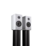Polk Audio R100 PER SET Wit Kopen? (2022) | IIAV.NL