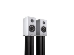 Polk Audio R100 PER SET Wit Kopen? (2022) | IIAV.NL