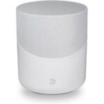 Bluesound PULSE M - Draadloze Multiroom Speaker - 360 Graden - Wit Kopen? (2022) | IIAV.NL