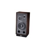 Magnat Transpuls 1000 Zuilspeaker RIGHT Kopen? (2022) | IIAV.NL