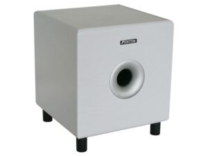 Fenton SHFS08W subwoofer Kopen? (2022) | IIAV.NL
