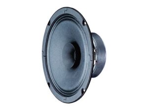 VISATON VS-BG17 zwart Kopen? (2022) | IIAV.NL