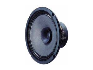 VISATON VS-BG20 zwart Kopen? (2022) | IIAV.NL