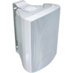 VISATON VS-WB13W satelliet wit Kopen? (2022) | IIAV.NL