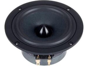 VISATON B 100 4 High-End Full-Range Loudspeaker 6 Ohm Kopen? (2022) | IIAV.NL