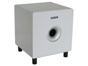 Fenton SHFS10W subwoofer Kopen? (2022) | IIAV.NL