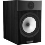 Fyne Audio F301 black ash Kopen? (2022) | IIAV.NL