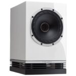 Fyne Audio F500 Kopen? (2022) | IIAV.NL