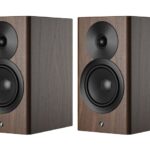 Dynaudio Focus 10 Kopen? (2022) | IIAV.NL