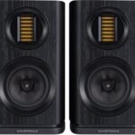 Wharfedale EVO 4.1 zwart Kopen? (2022) | IIAV.NL