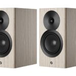 Dynaudio Focus 10 Kopen? (2022) | IIAV.NL