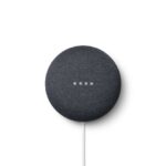Google Nest Mini antraciet Kopen? (2022) | IIAV.NL